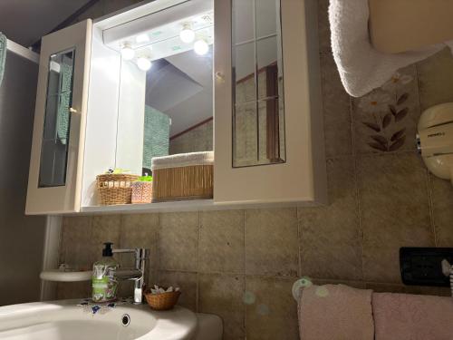 a bathroom with a sink and a mirror at Au Jardin fleuri in San Giovanni Lupatoto