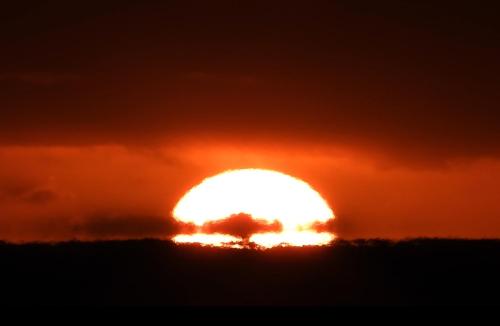 a sun setting over a field in front at Iruma INN in Minamiizu