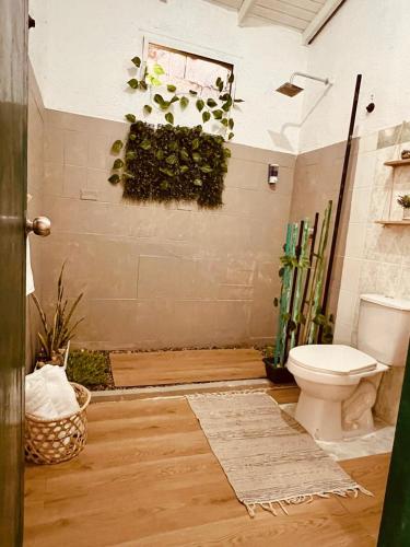a bathroom with a toilet and plants on the wall at Mohana in Puerto Colombia