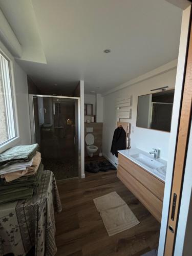 une salle de bain avec un lavabo, une douche et des toilettes dans l'établissement la maison de Etienne, à Chaux