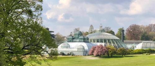 ein großes Gewächshaus aus Glas auf einem Feld mit Bäumen in der Unterkunft Arm Apart in Brüssel