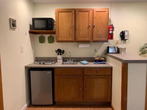 Dapur atau dapur kecil di Cape Pines Motel