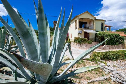 Apartments with parking space Sali, Dugi otok - 24032