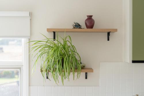 a green plant sitting on a shelf in a kitchen at Cosy Ulverstone Getaway with Parking in Ulverstone