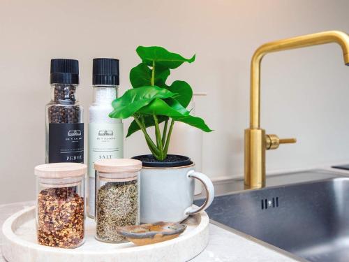 a kitchen counter with spices and a plant and a sink at 4 star holiday home in Fanø in Fanø