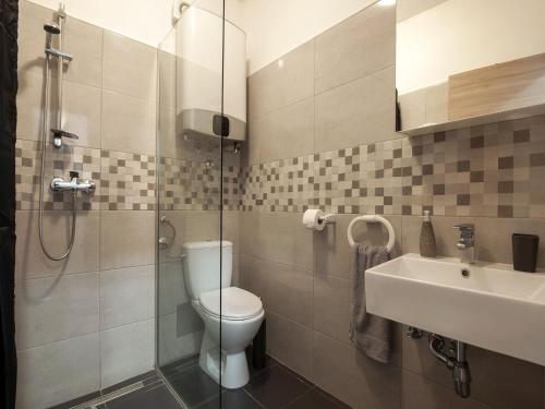 a bathroom with a toilet and a sink and a shower at Apartment in Fa ana near Rock Beach in Valbandon