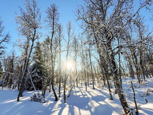 a snow covered forest with the sun shining through the trees at 4 star holiday home in gol in Gol