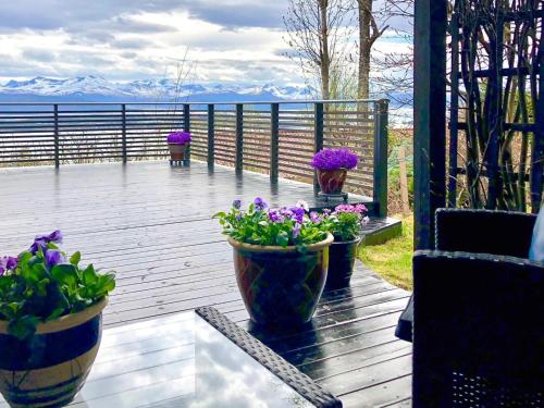 three potted plants on a deck with a view of the water at 7 person holiday home in Molde in Molde