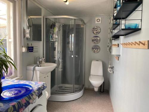 a bathroom with a shower and a toilet and a sink at 6 person holiday home in VIMMERBY in Vimmerby