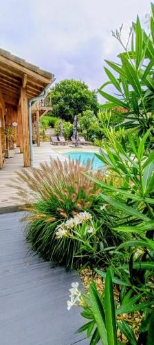 une piscine dans un jardin avec des plantes dans l'établissement La Cabane Bohème, Maison d'hôtes Bassin d'Arcachon, à Gujan-Mestras