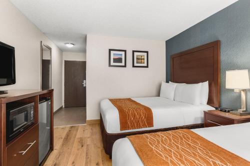 TV o dispositivi per l'intrattenimento presso Comfort Inn & Suites Vancouver Downtown City Center