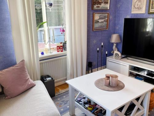 TV a/nebo společenská místnost v ubytování 4 person holiday home in SKÄRHAMN