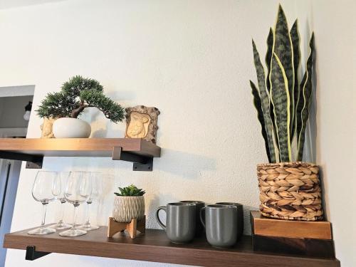 a shelf with wine glasses and a plant on it at Comfort Location Reasonable Price 2 blocks 2 the beach in Kailua-Kona