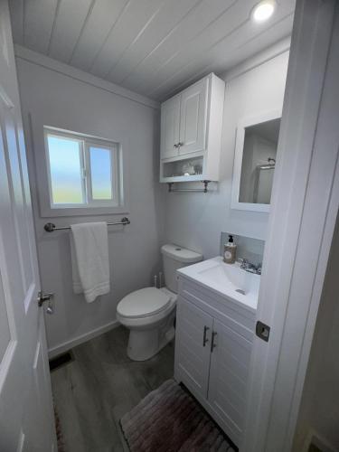 a white bathroom with a toilet and a sink at Guitars & Tiki Bars, Roadrunner Resort in Parker