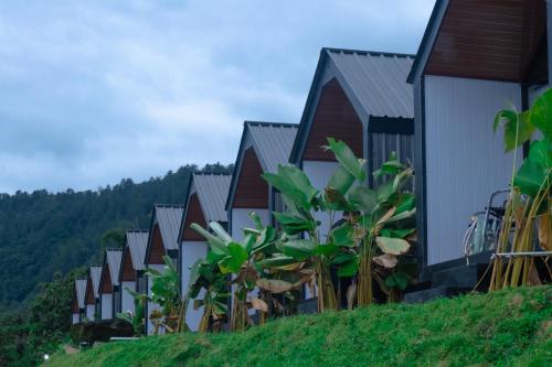 a row of houses on a hill at Royal Indah Glamping Kintamani in Kintamani