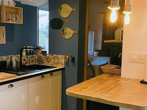 a kitchen with a sink and a counter top at Maison au bord du lac pour 4 pers. + enfants, nature et tranquillité, animaux admis - FR-1-589-803 in Sanchey