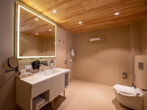 a bathroom with a sink and a mirror and a toilet at Royalpine Rosastays Kasauli in Kasauli