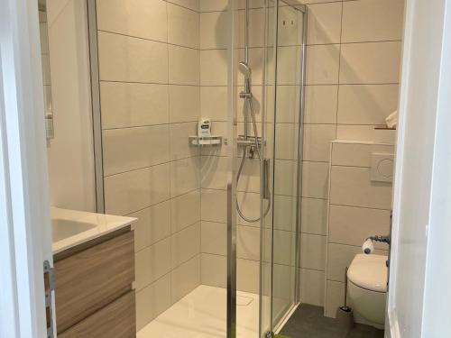 une salle de bain avec une douche en verre et des toilettes dans l'établissement Petit gîte - Ty Bihan, à Querrien
