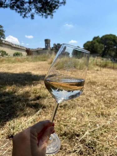 Getränke in der Unterkunft Location Gîte en Provence