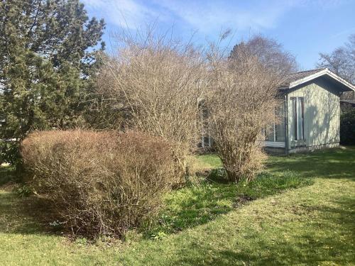 a house with bushes in front of a yard at 6 person holiday home in Dannemare in Dannemare