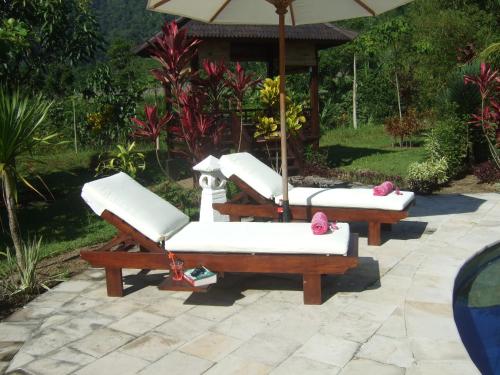 three lounge chairs and an umbrella on a patio at Guesthouse Rumah Senang in Kalibaru