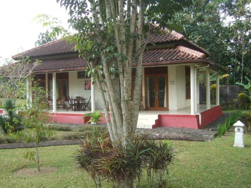 a small house with a tree in the yard at Guesthouse Rumah Senang in Kalibaru