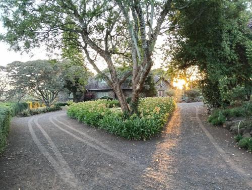 a tree on the side of a road with flowers at Leleshwa Homestead Cottage - Mweiga in Nyeri