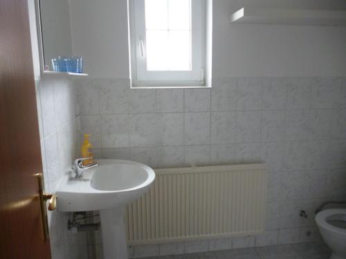 a bathroom with a sink and a toilet and a window at Pension Pugner in Vysoké nad Jizerou
