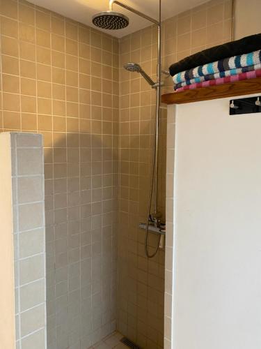 ein Bad mit Dusche und Duschvorhang in der Unterkunft Oasen Ved Centrum 1 sal. in Frederikshavn