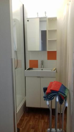 une petite salle de bain avec un lavabo et un miroir dans l'établissement DIJON entre gare et cathedrale, à Dijon