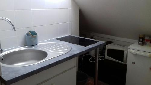 une cuisine avec un évier et un plan de travail dans l'établissement DIJON entre gare et cathedrale, à Dijon