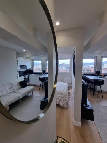 - un miroir dans le salon avec canapé dans l'établissement Sur la savoureuse - Le 64, à Belfort