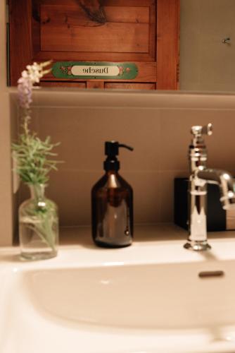 a bathroom sink with a soap dispenser and a bottle of soap at Landgasthof Paradiesli in Weesen