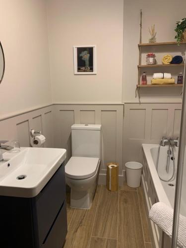 a bathroom with a toilet and a sink and a tub at Causeway Coastal Terrace Holiday Home portstewart in Portstewart