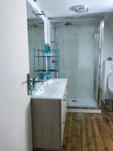 une salle de bain avec un lavabo et une douche dans l'établissement La ferme du Liaumiers, à Saint-Cirgues-de-Jordanne