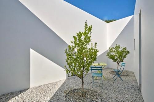 Κήπος έξω από το Villa in Paros Villa Nest