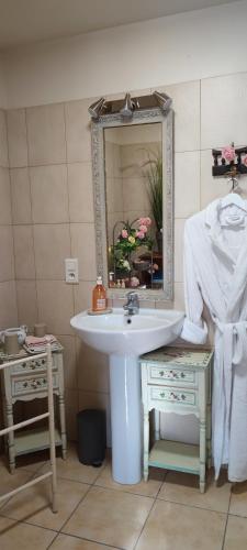 une salle de bain avec un lavabo et un miroir dans l'établissement Château de la Mothe, à Saint-Sulpice-en-Pareds