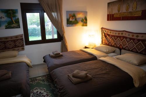 a bedroom with two beds and a window at Trikala Apartments 3 in Tríkala