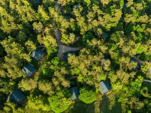 ホリデーパークの近くで見られる自然の景観