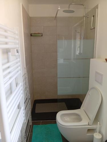 une petite salle de bain avec toilettes et douche dans l'établissement ricochets, à Castillon