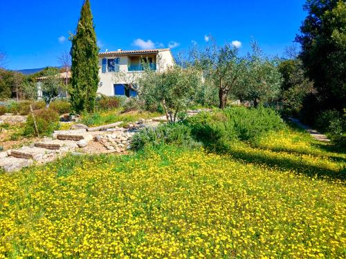 un champ de fleurs jaunes devant une maison dans l'établissement Les Bellonis - Villa au pied du Mont Ventoux, à Bédoin