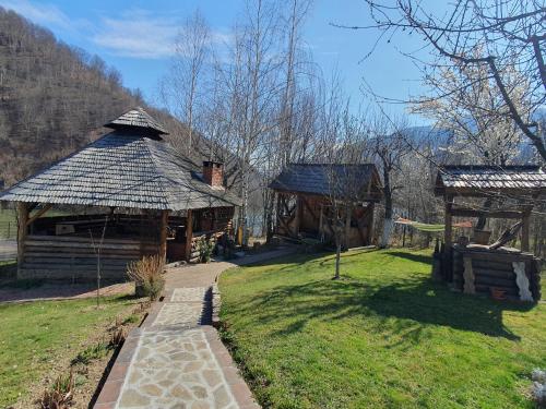 Gallery image of Casa Bucureasa in Malaia