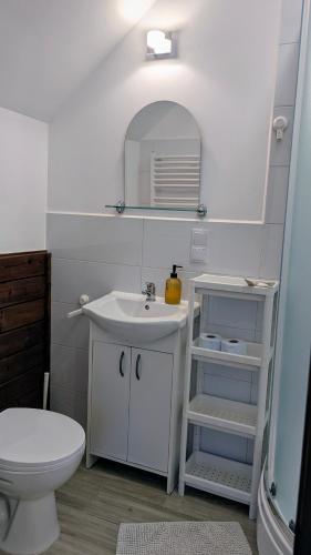 a bathroom with a sink and a toilet and a mirror at Sosnowa Polana Białowieża in Białowieża