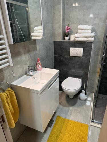 Koupelna v ubytování Apartman Pazova