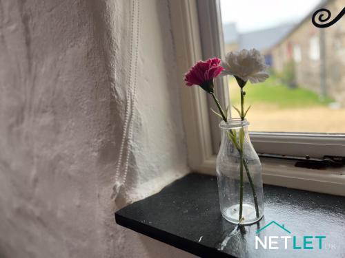 a vase with flowers sitting on a window sill at Ty Bedwen - Cosy Rural Retreat in St Davids in St. Davids