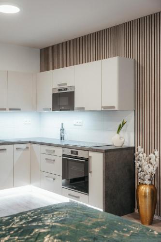 Kuchyň nebo kuchyňský kout v ubytování Vltavín Relax Apartments
