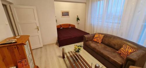 a living room with a couch and a bed at Rooftop Panorama Apartment in Budapest