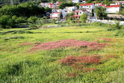 Φωτογραφία από το άλμπουμ του Villa Ema σε Tugare