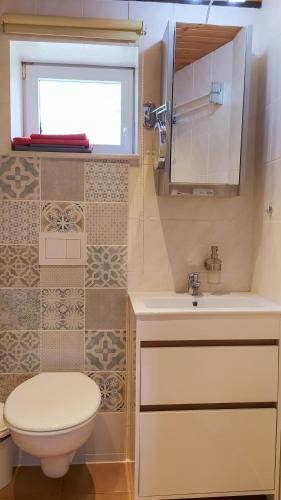a bathroom with a toilet and a sink and a window at Inselromantik Rügen, DZ Honeymoon in Dreschvitz