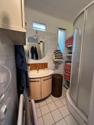 une salle de bain avec un lavabo et un miroir dans l'établissement Jolie maisonnette jusqu'à 4 personnes avec superbe vue, à Chamalières-sur-Loire